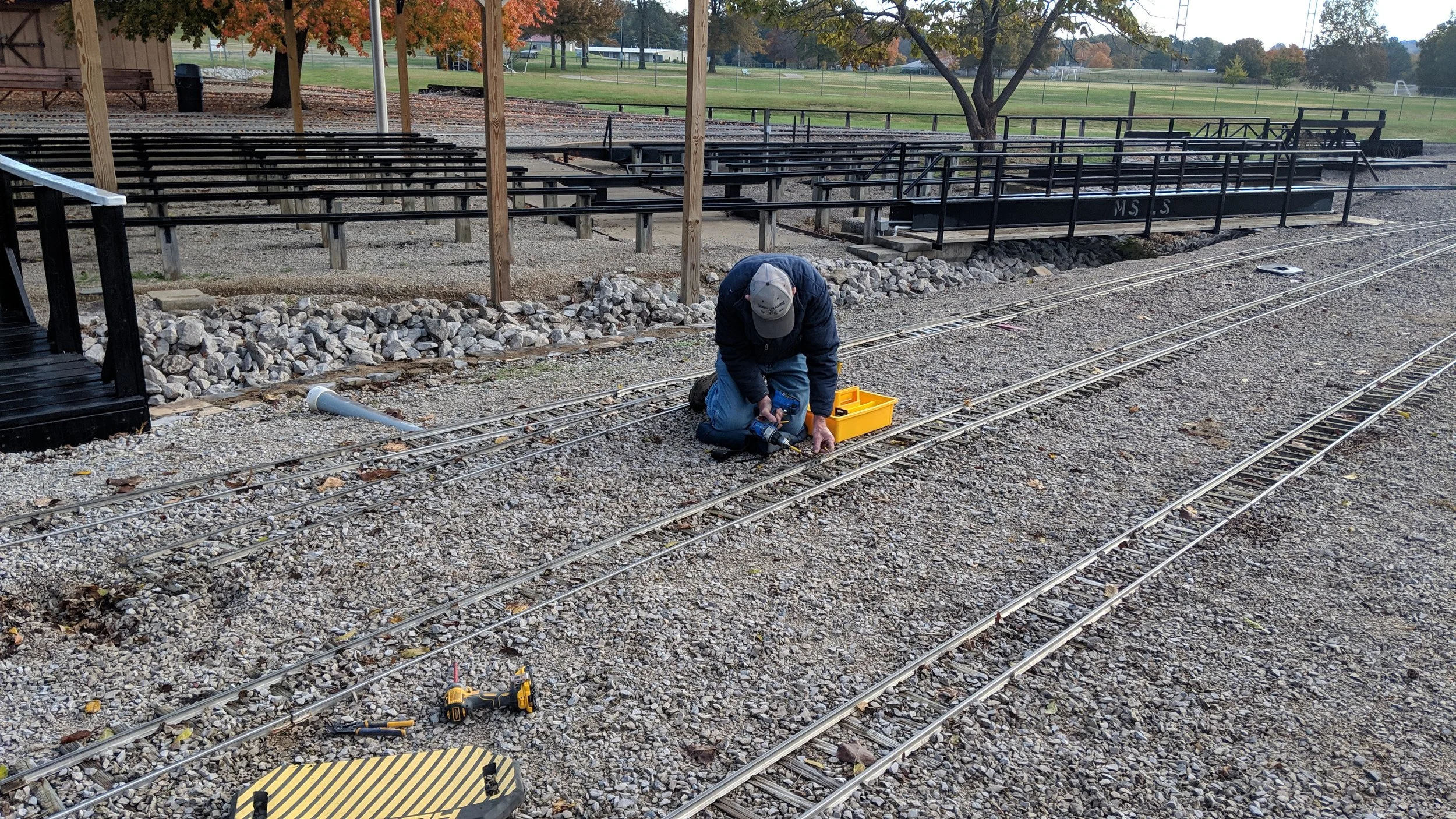 IMG_20181103_091001.jpg