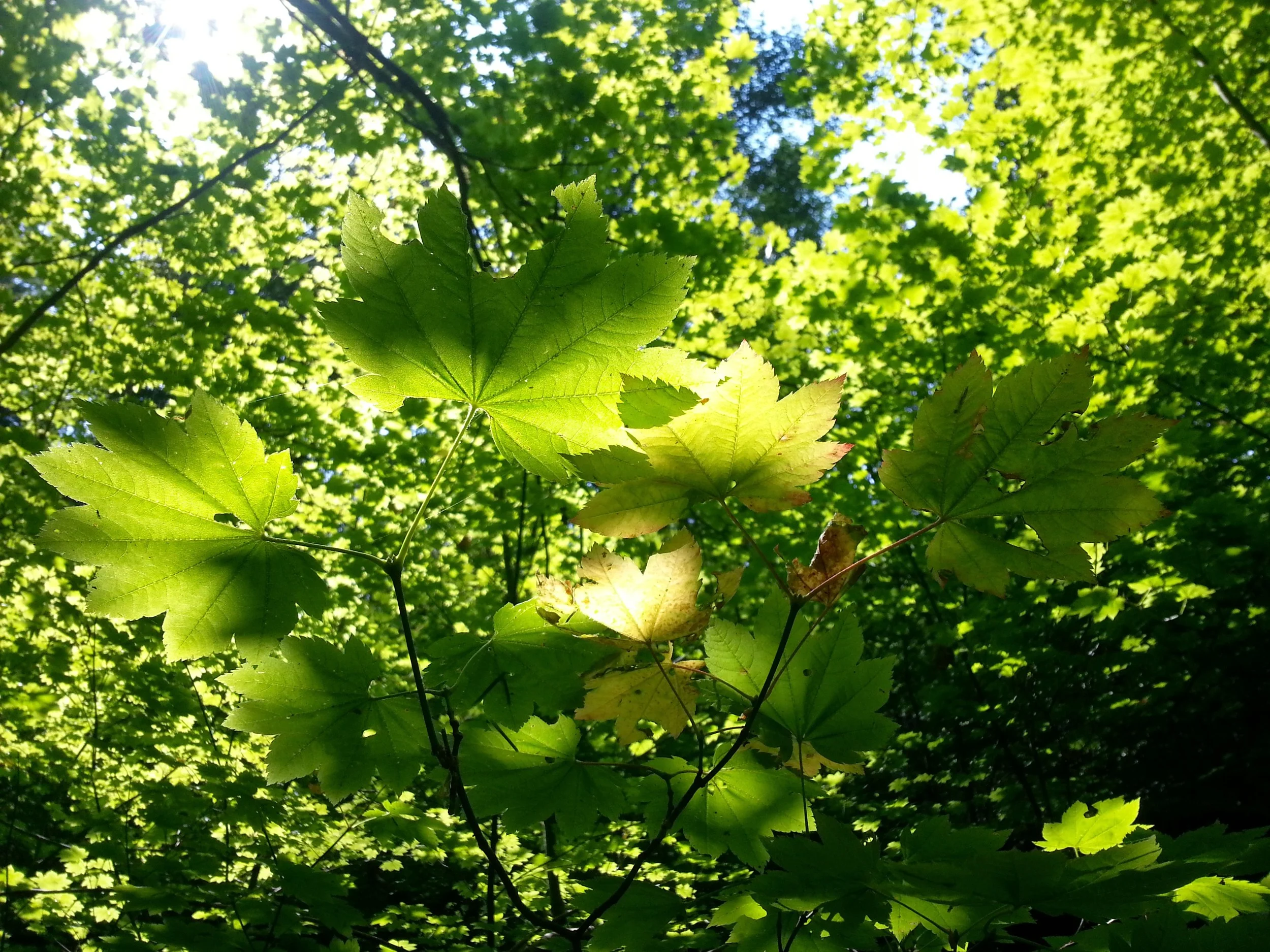 20140921_133302.jpg