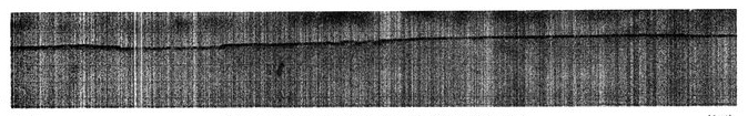 steidle_03.jpg