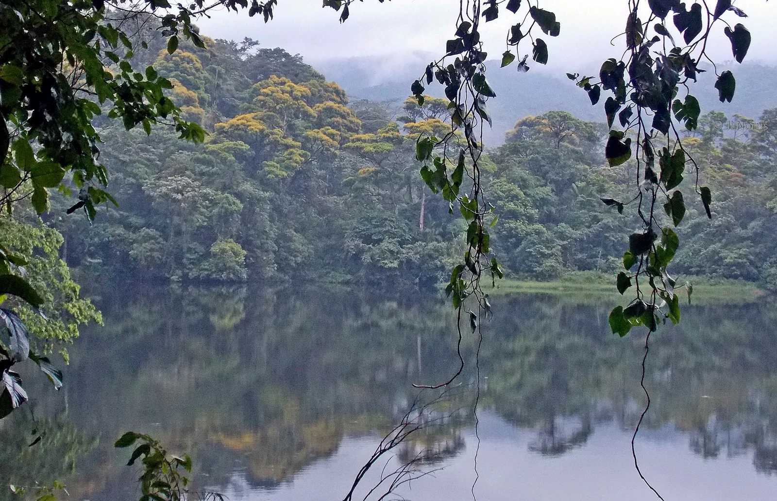 Biodiversity and Peace @ Children's Eternal Rainforest, Costa Rica