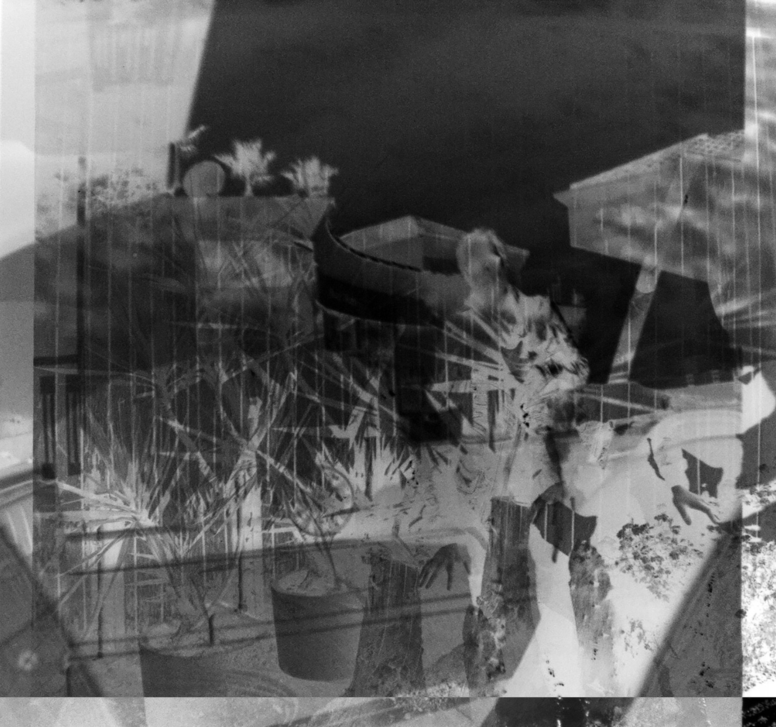 Screen Shot 2024-01-25 at 15.00.11_invert.png