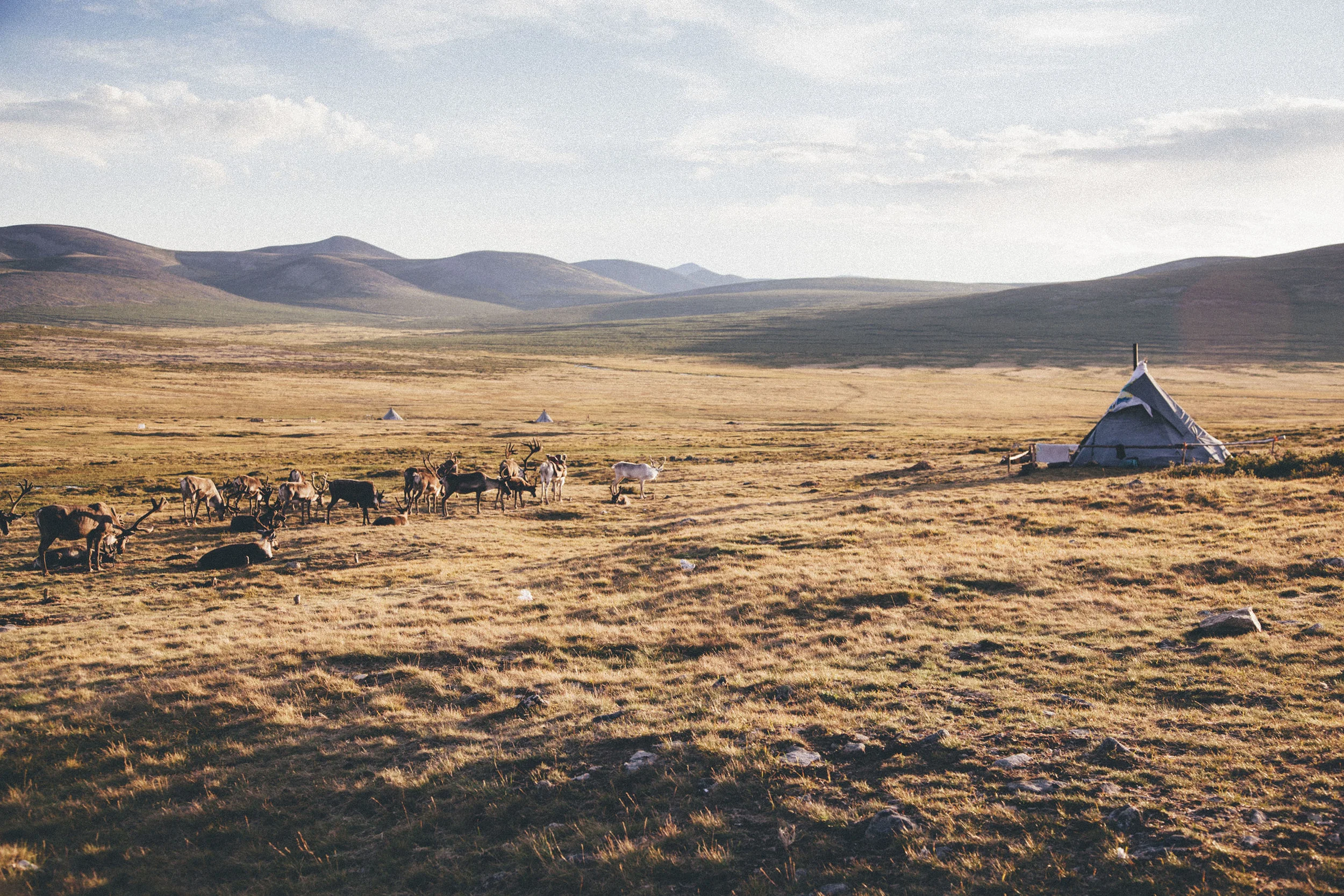 JennieRoss_mongolia(147 of 286).jpg