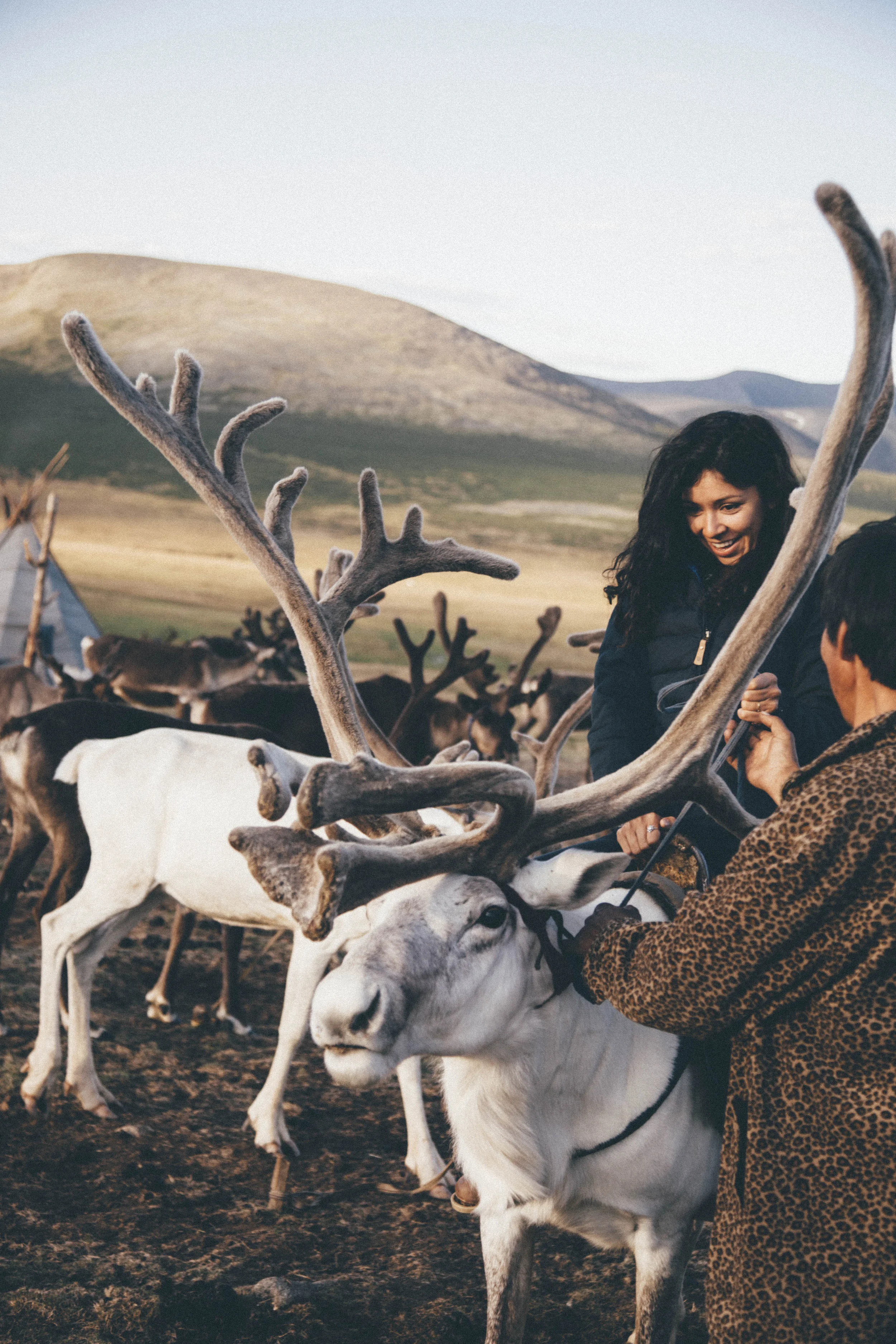 JennieRoss_mongolia_days2-3_ (267 of 286).jpg
