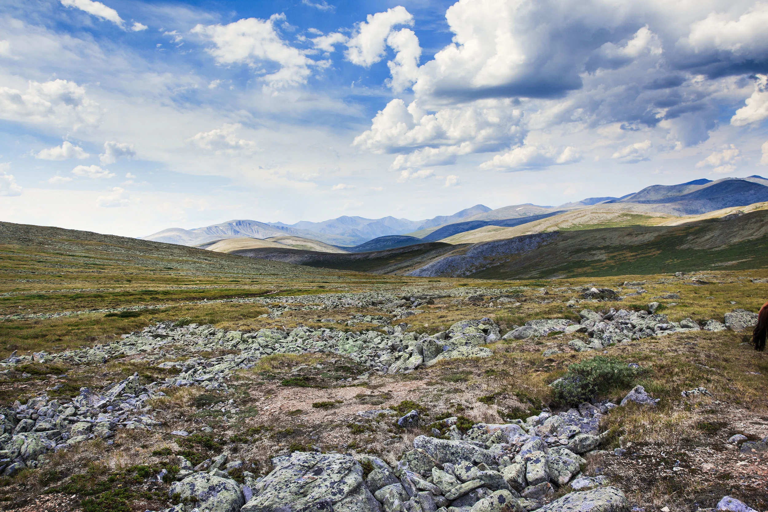 MONGOLIA 1 GALLERY 8.6.15