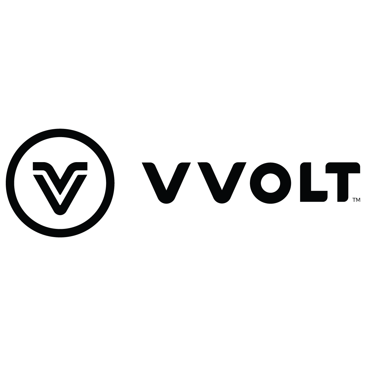 2024_V VOLT.png