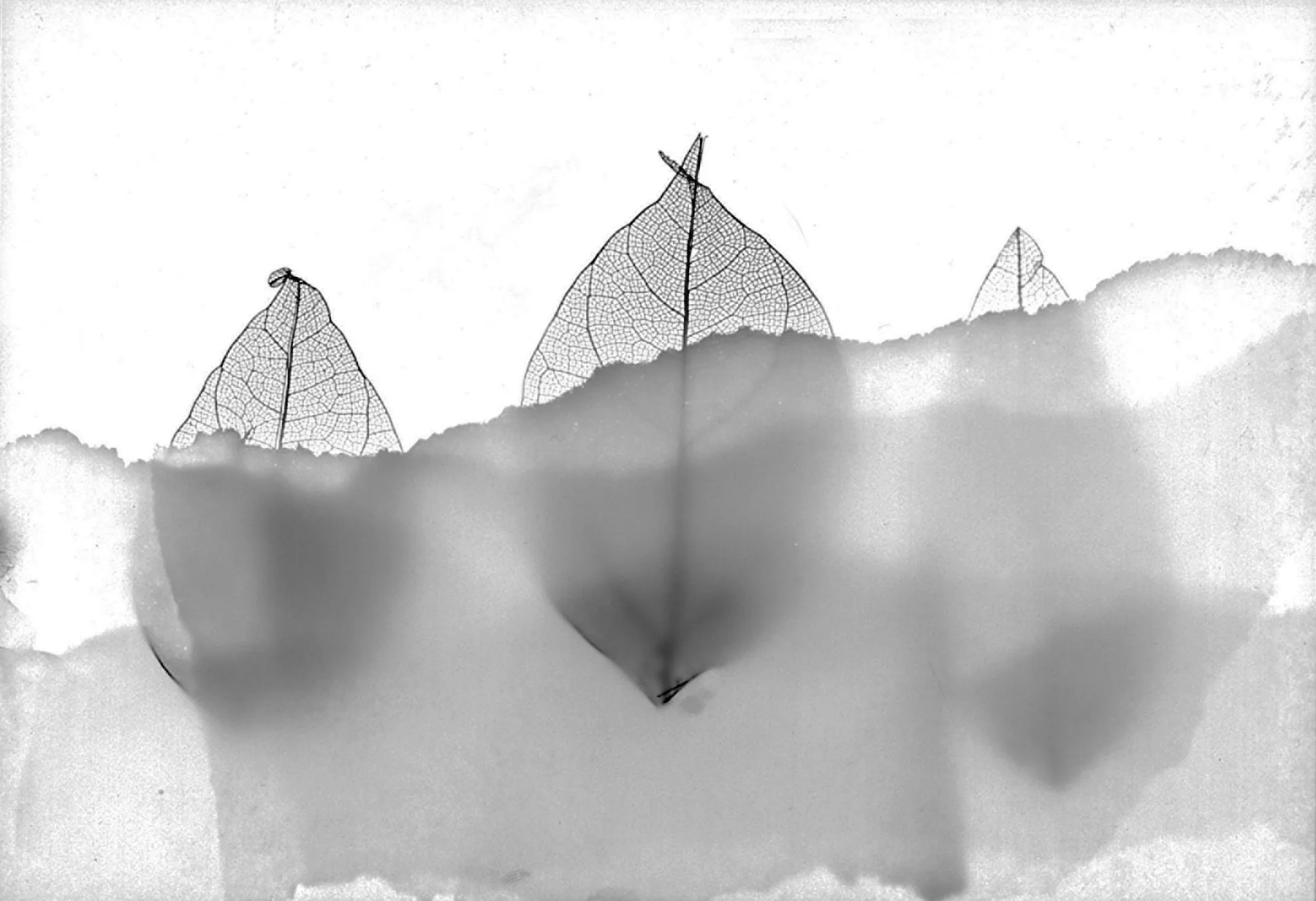 Kiribati neg a-Edit-Edit.jpg