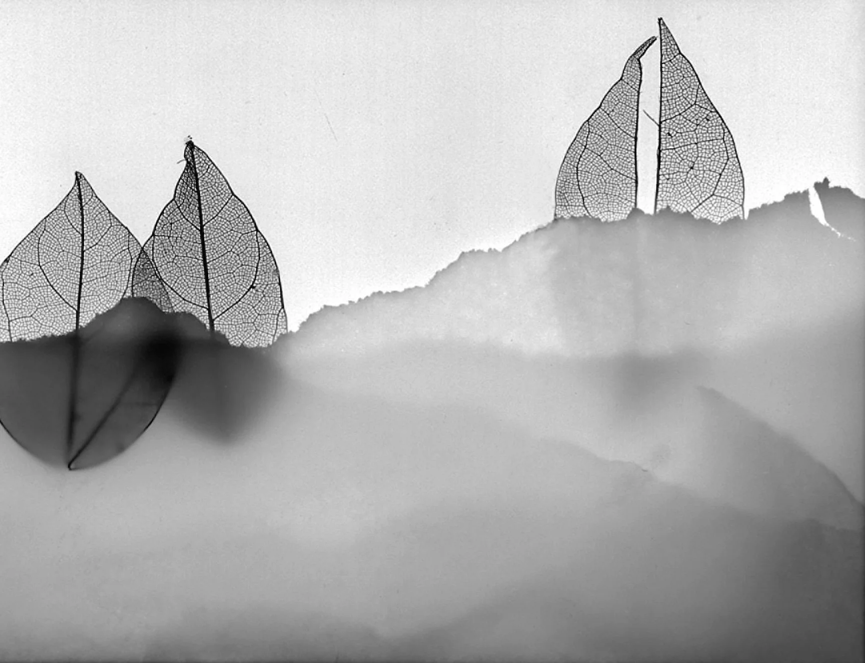 kiribati 3 neg-Edit-Edit.jpg