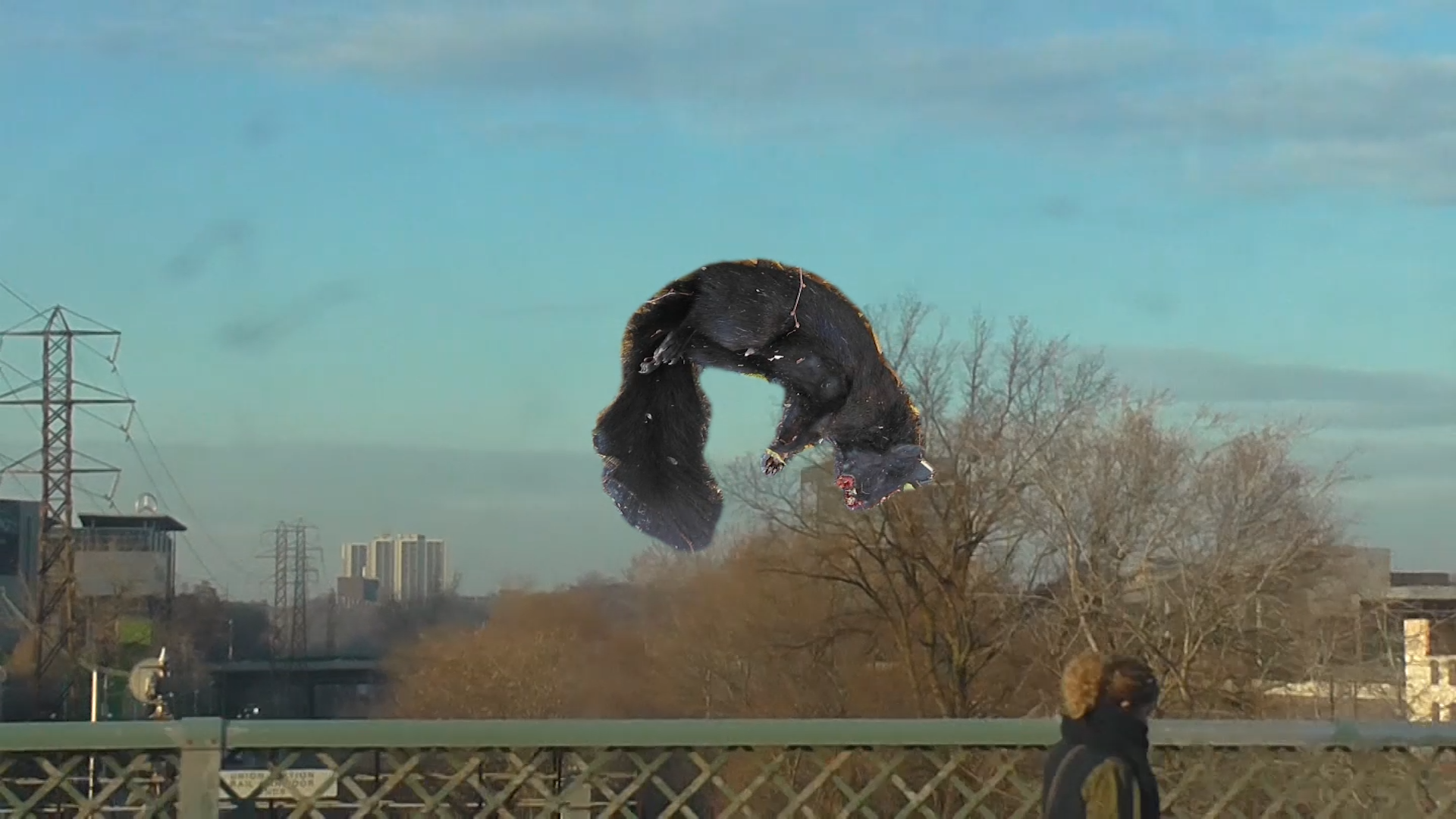 ENDLESS CYCLE OF SAYING GOODBYE (dir. Nara Wriggs)