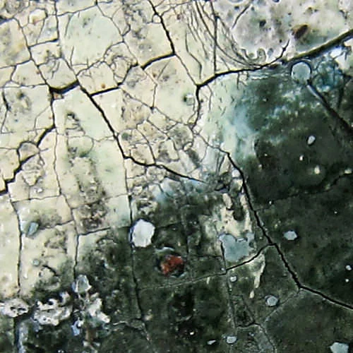 jonathan-mess-reclaim-slab-series.jpg