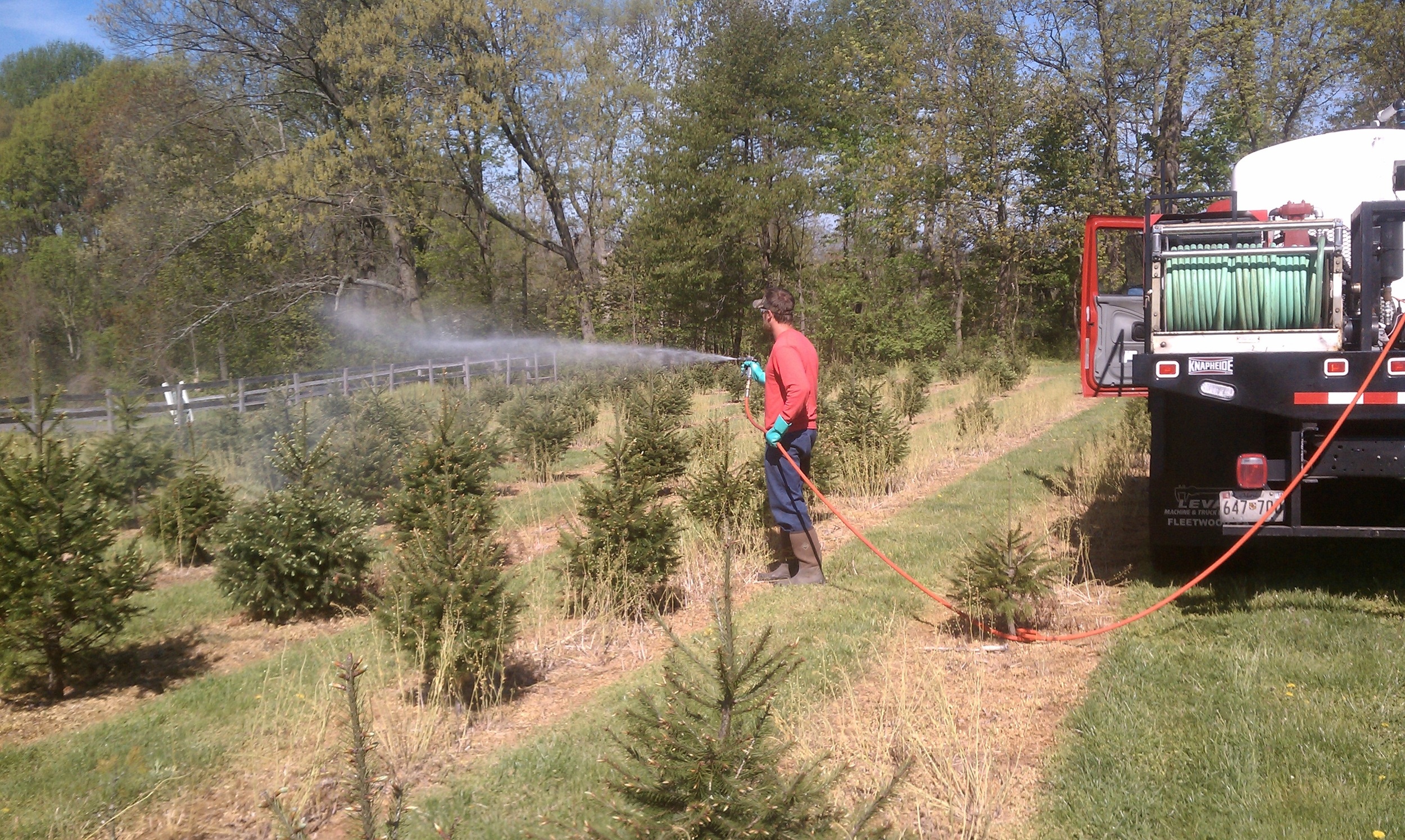 Christmas Tree Farm