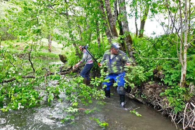 Våte av vannsprut og svette ble vi, men resultatene av strevet skapte entusiasme. Bruelva hadde kanskje hatt godt av å bli adoptert av noen lokale unge fiskeinteresserte. Elva krever en del vedlikehold framover og hadde fortjent mer oppfølging. Det er selvfølgelig fristende å få eksperten vår på banen, BS-medlem Ulrich. Men det er grenser hva den mannen kan makte. Men en ting er vi sikre på. Den som klarer å overliste en velvoksen sjøørret eller smålaks i denne elva vil garantert komme tilbake.