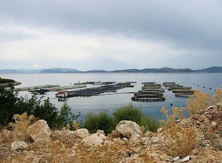 Naturskjønt og fint. Tenk hvis det blir dobbelt så mange? (bilde: AlMare. Wikipedia commons)