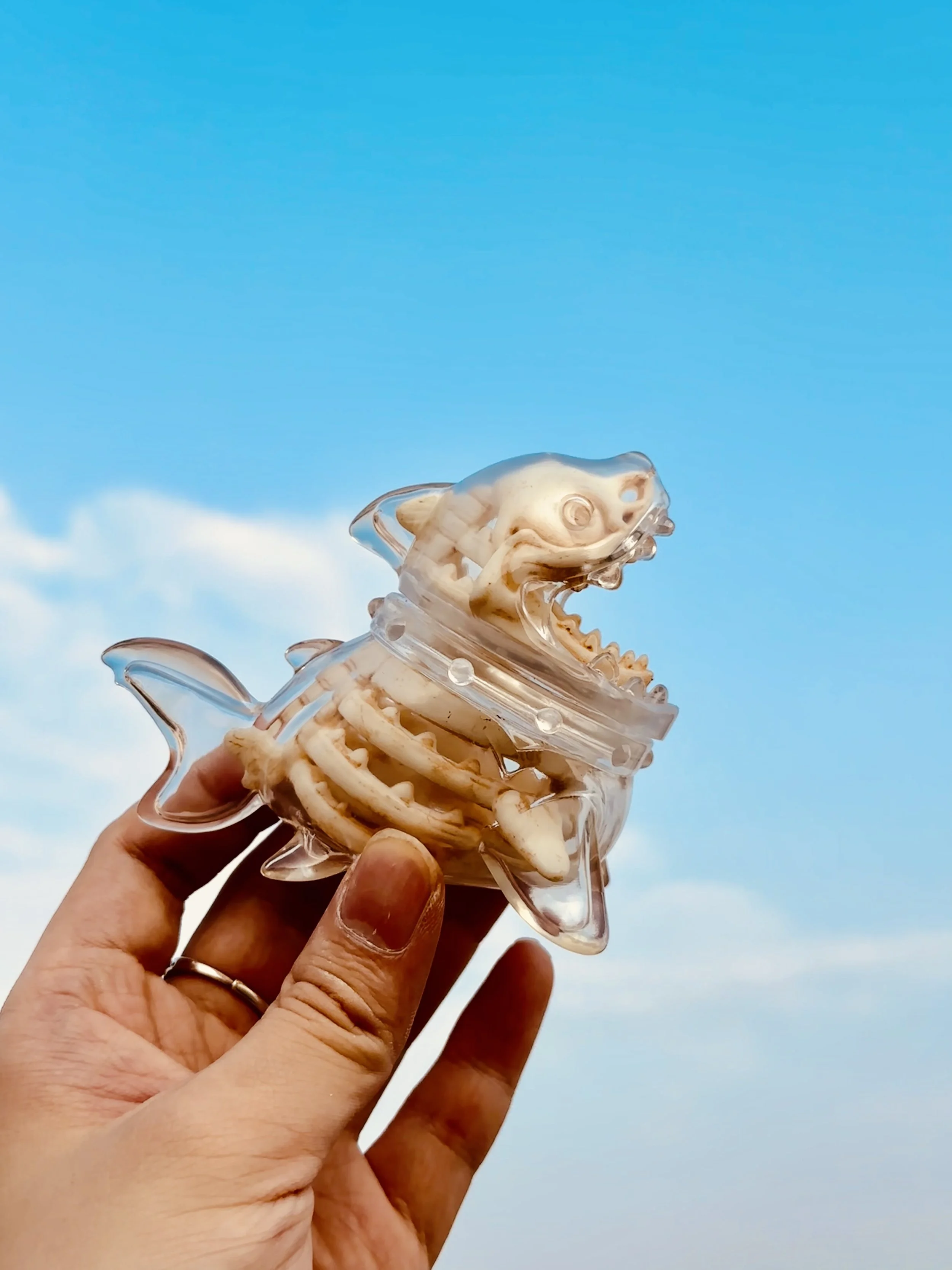 Yagu Skeleton Shark (4).jpg