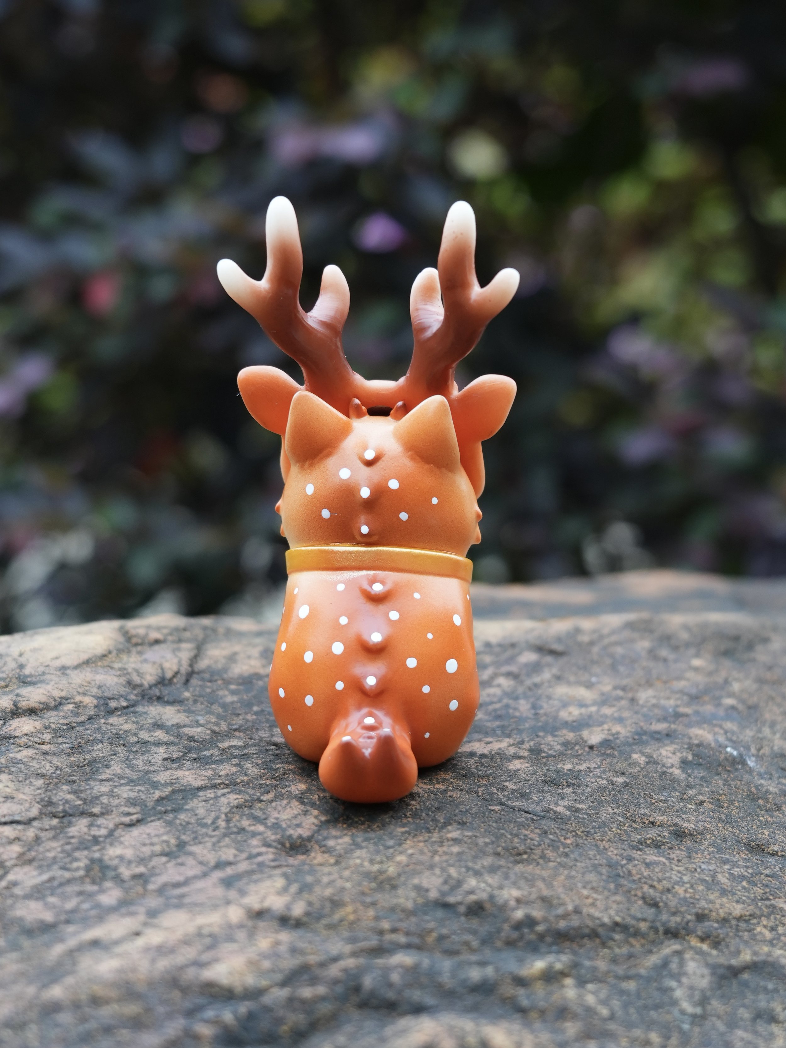 Spotted Deer Cat (4).jpg