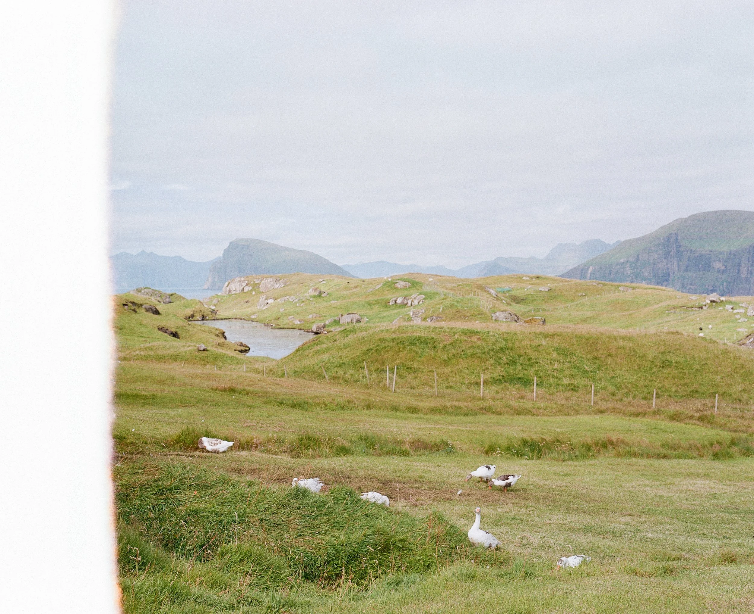 Faroe Islands_038.jpg