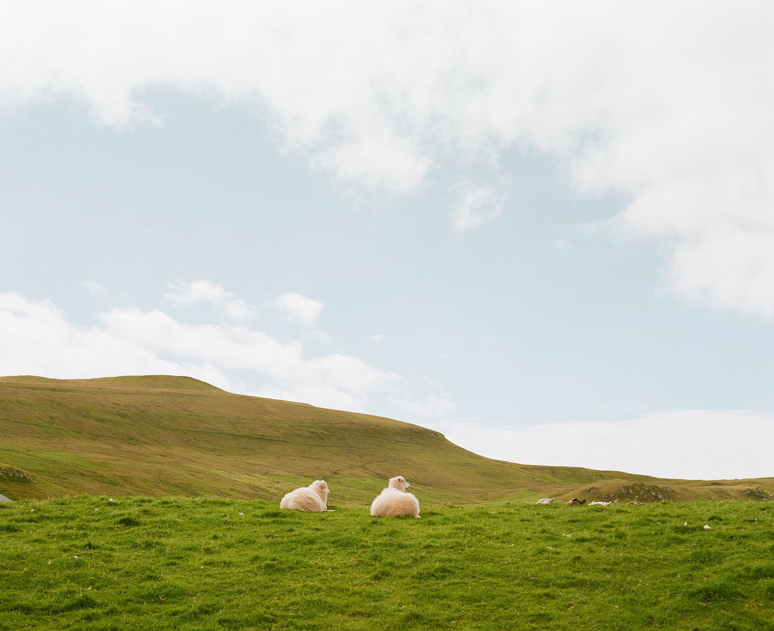 Faroe Islands_043.jpg