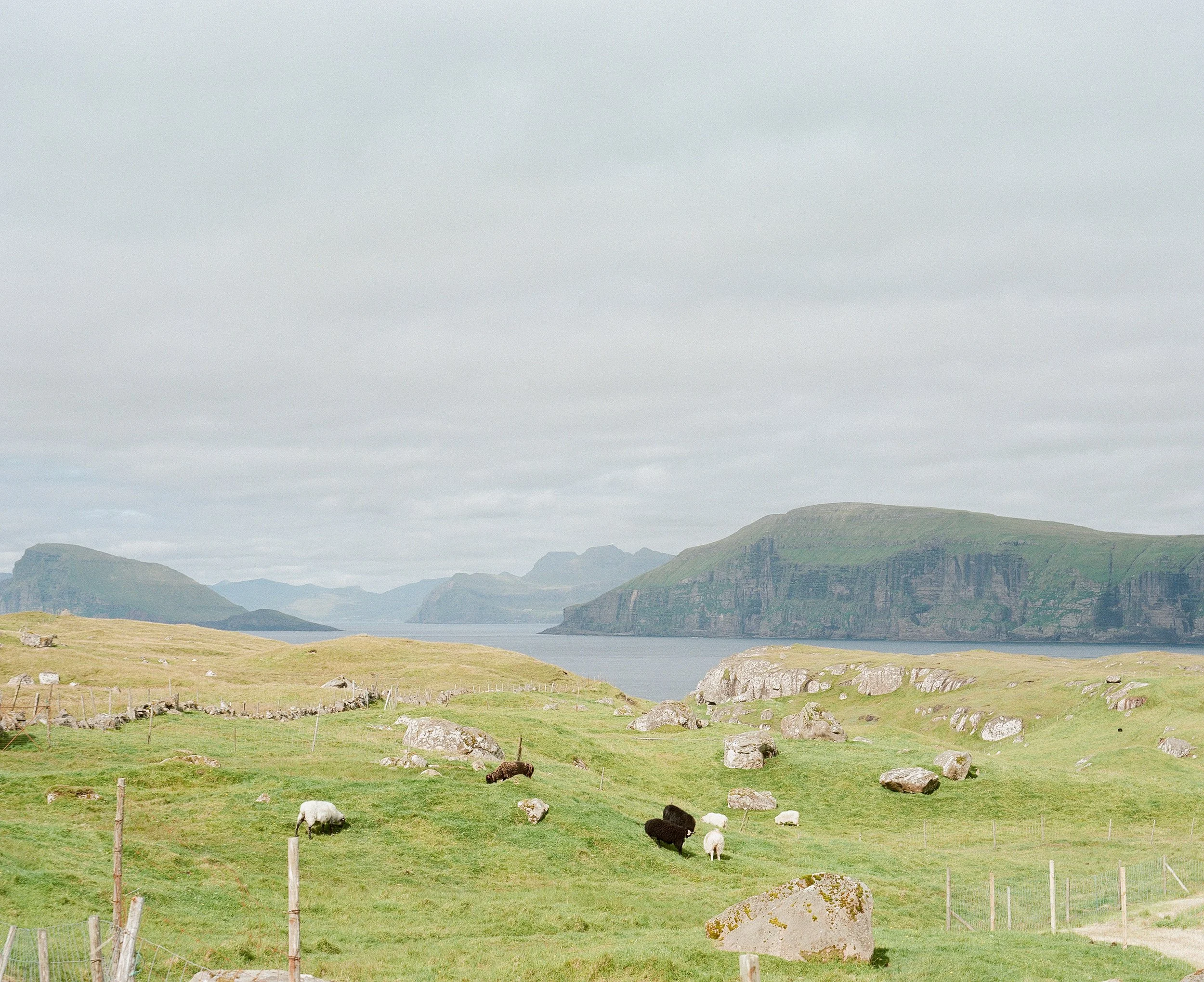 Faroe Islands_039.jpg