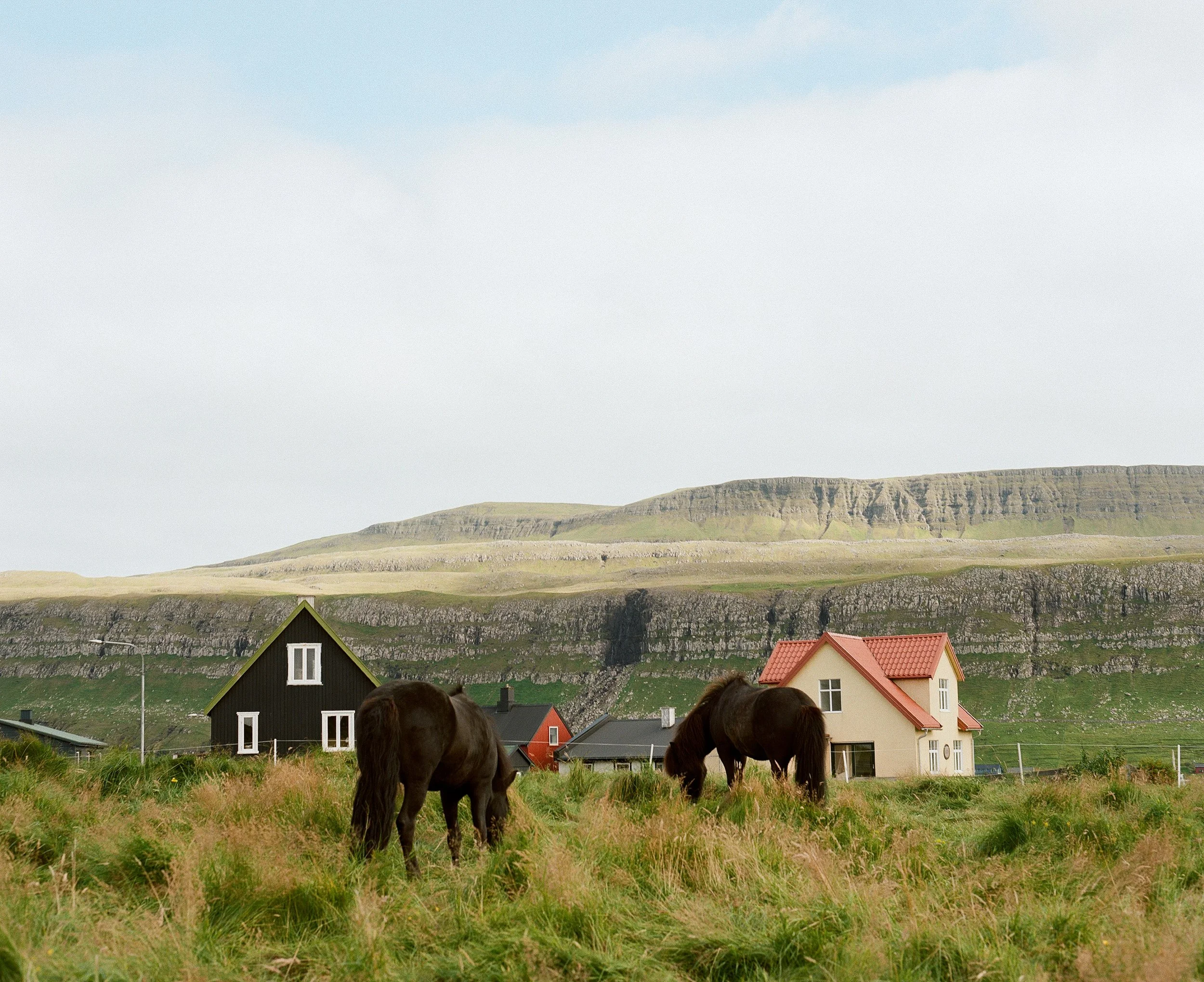 Faroe Islands_030.jpg