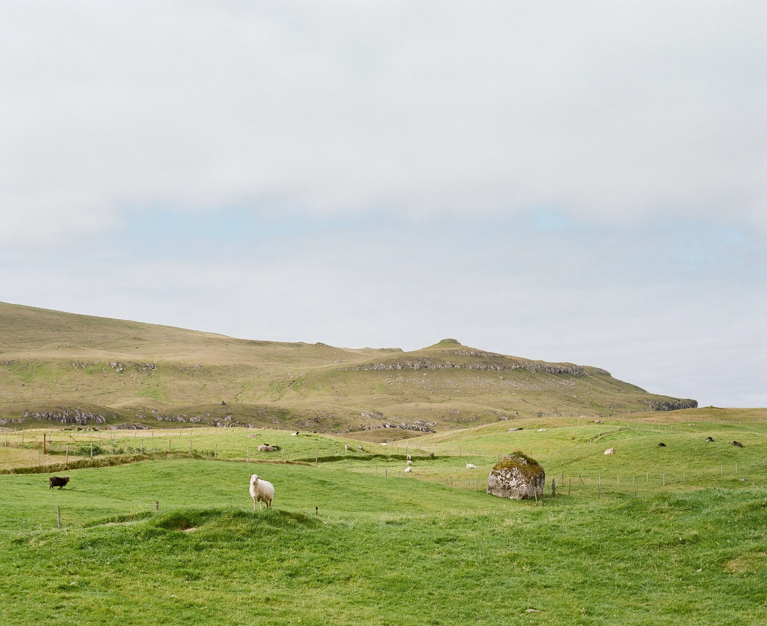 Faroe Islands_041.jpg