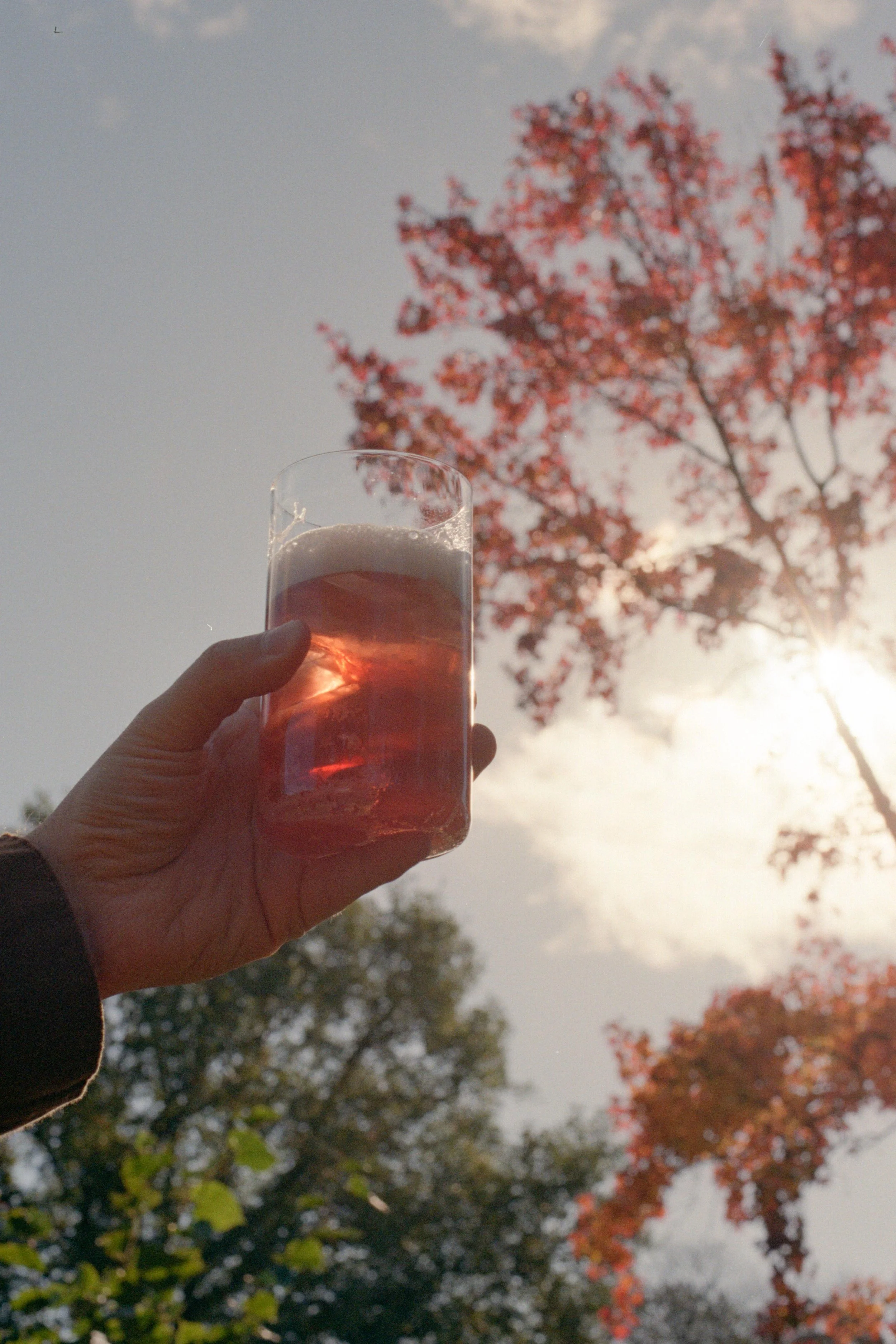 Outdoor_025.jpg
