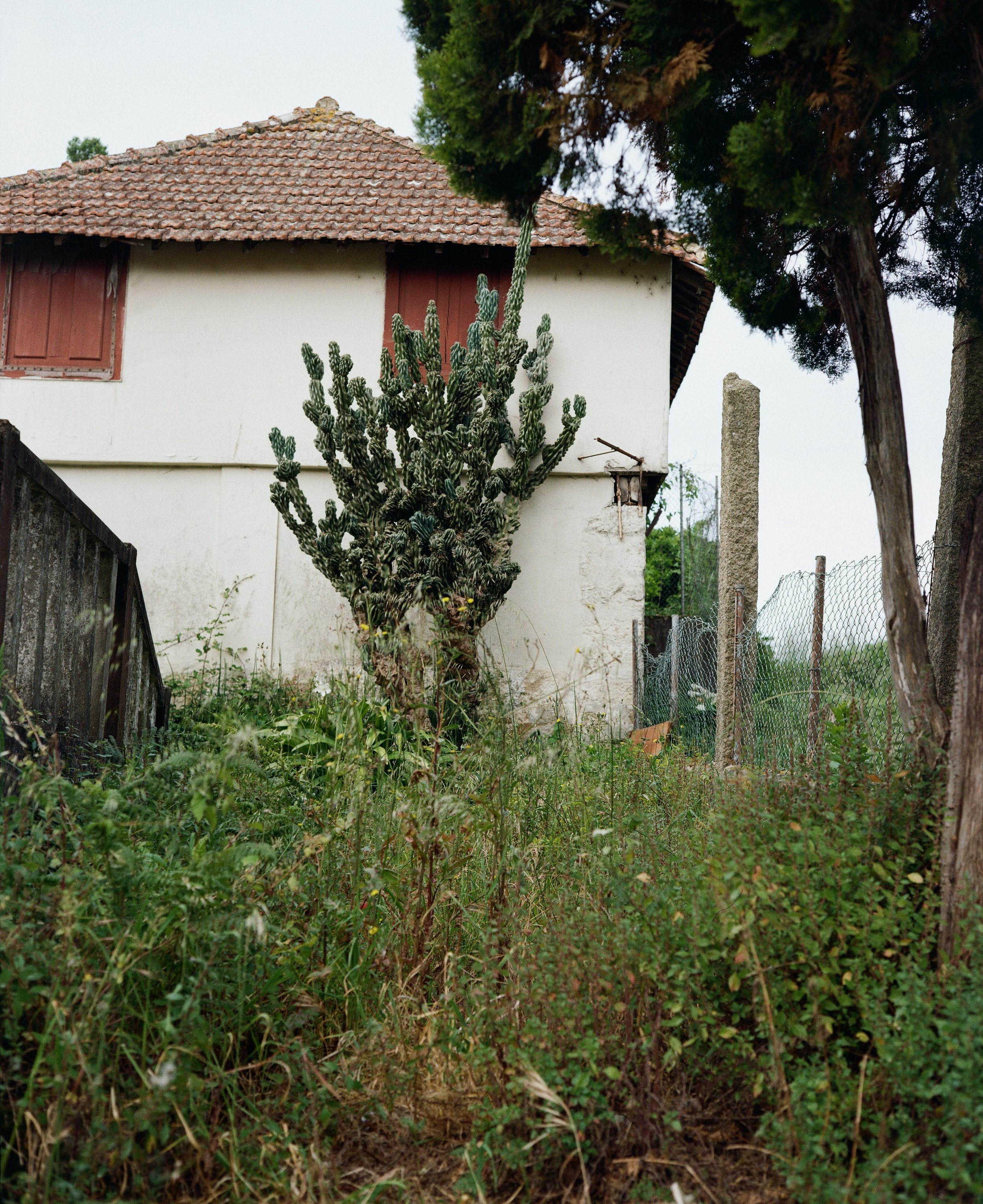 Camino Portugal-02.jpg