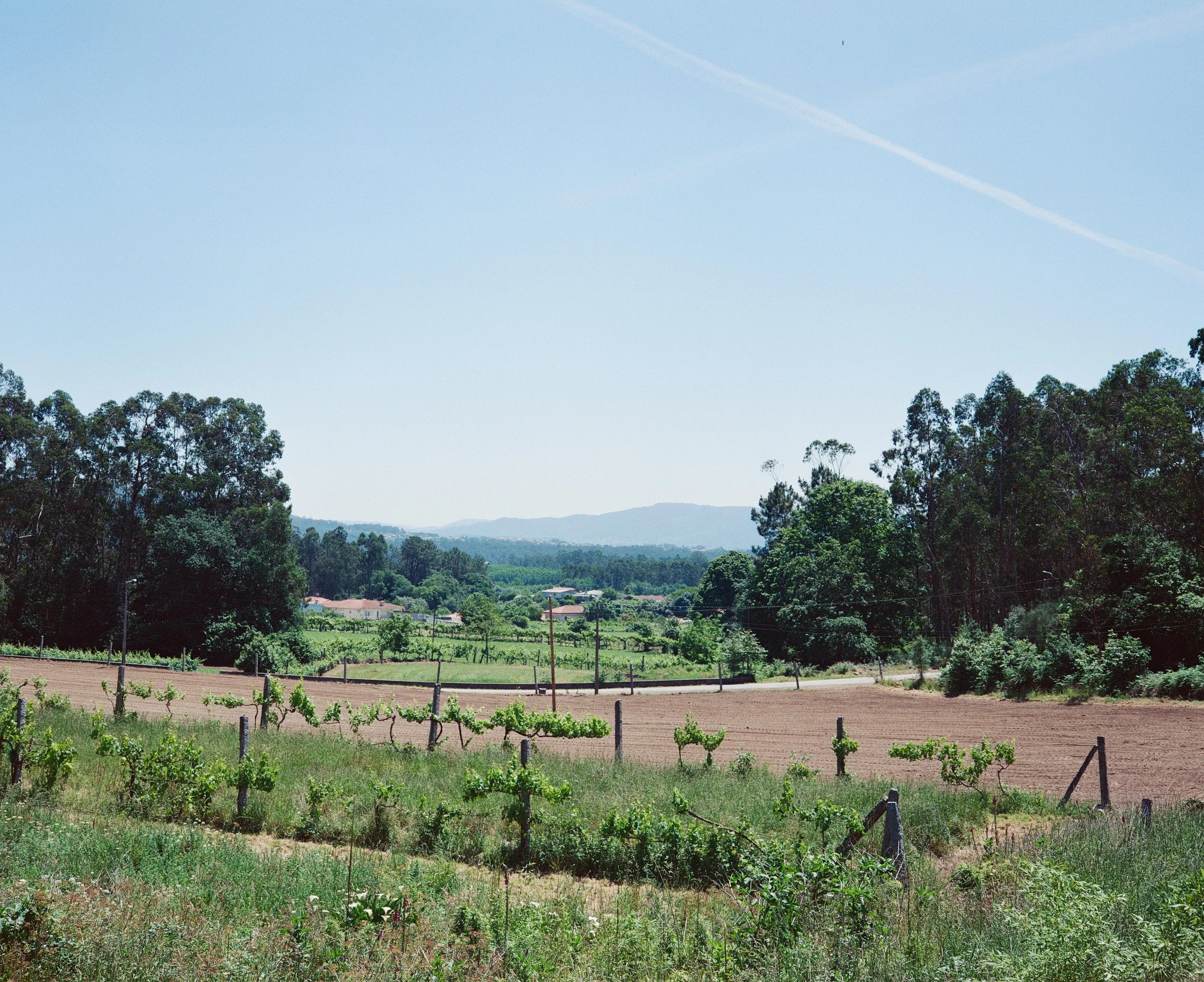 Camino Portugal-09.jpg