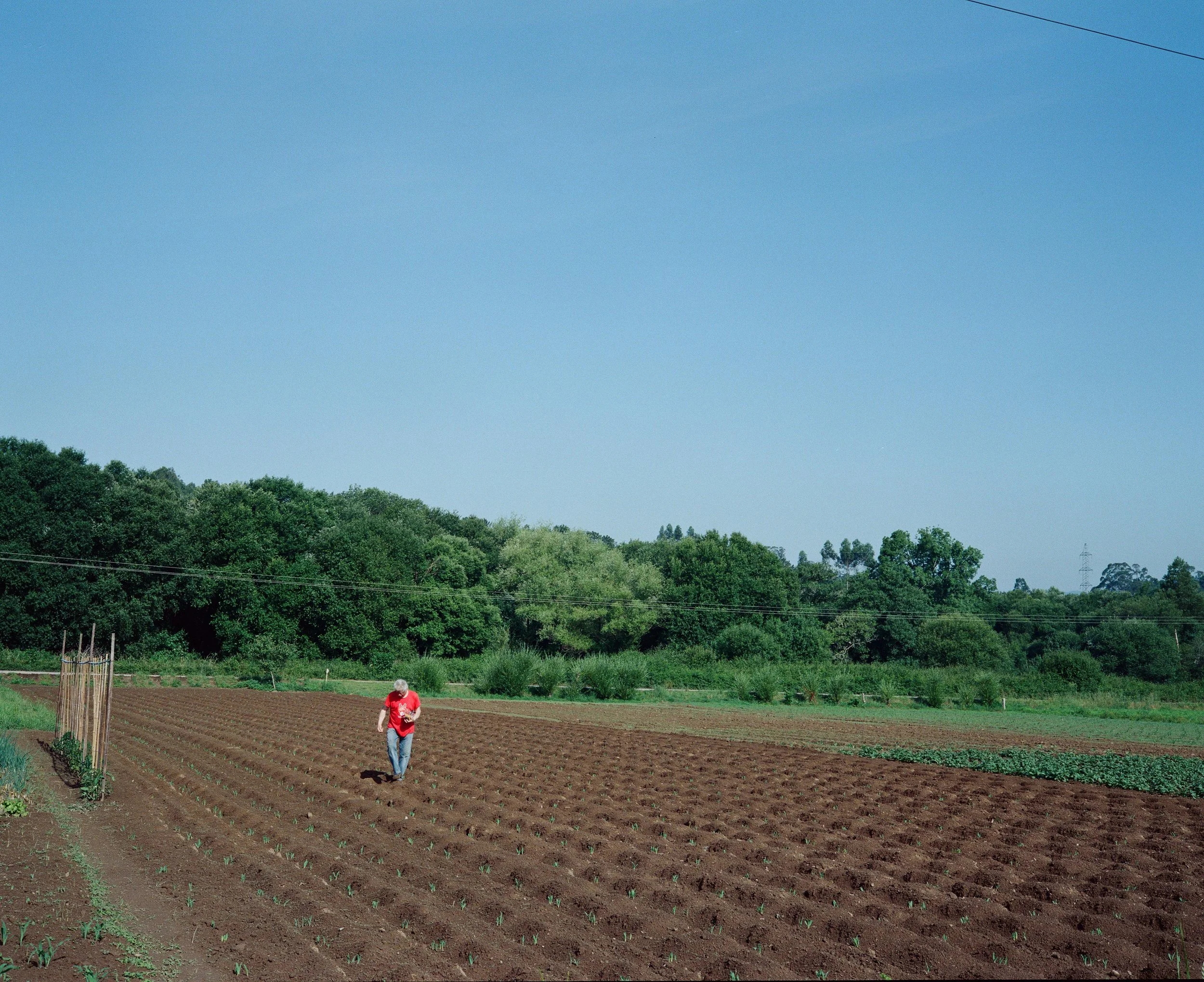 Camino Portugal-28.jpg