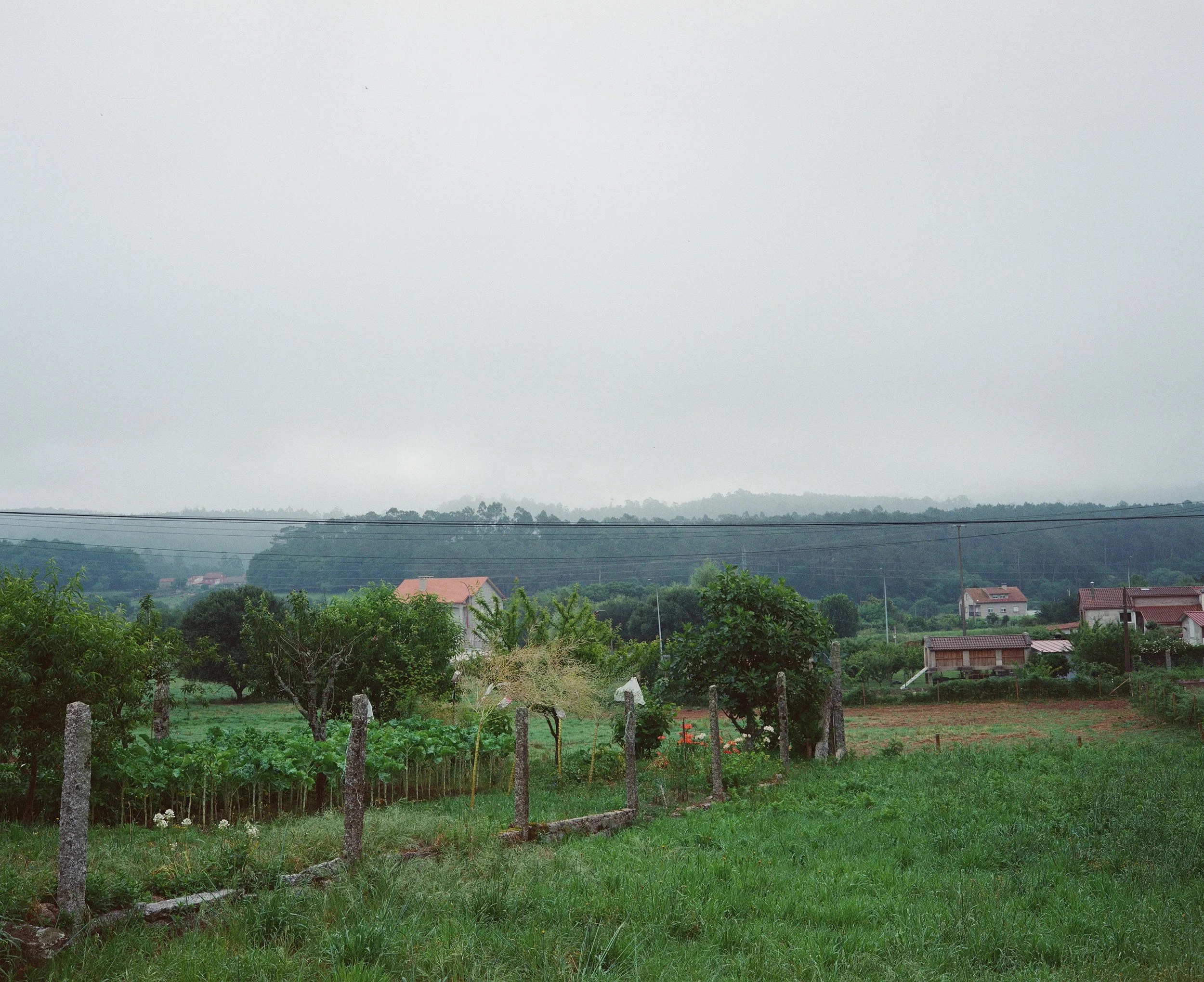 Camino Portugal-30.jpg