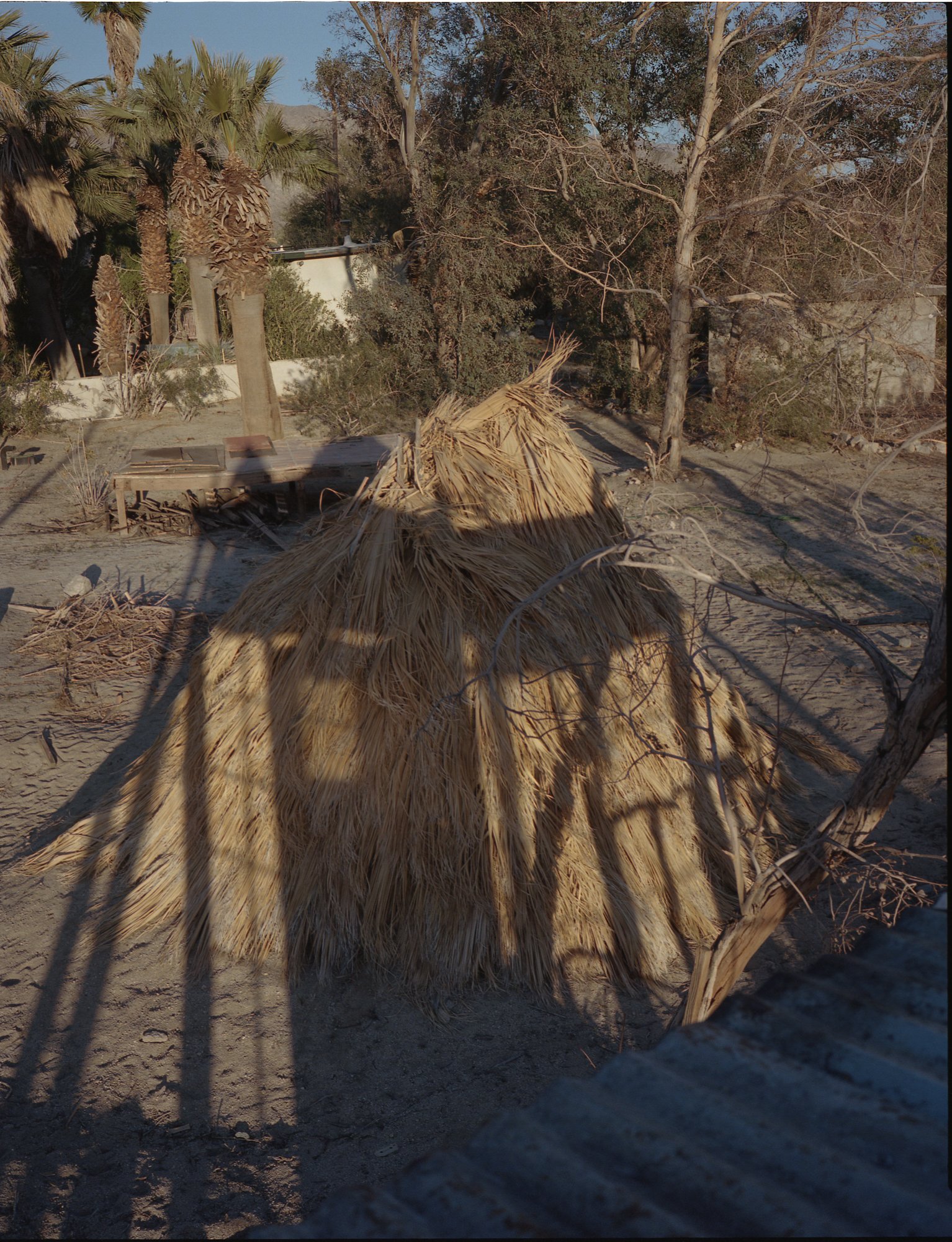  On my previous visit, I helped him build this palm frond hut.  