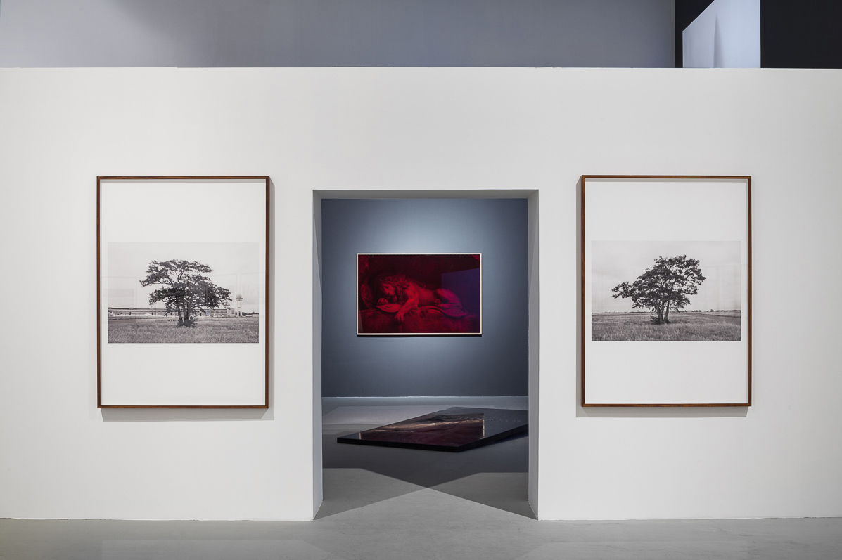 Installation view, Tel Aviv museum of Art, 2014 Photo: Tal Nisim