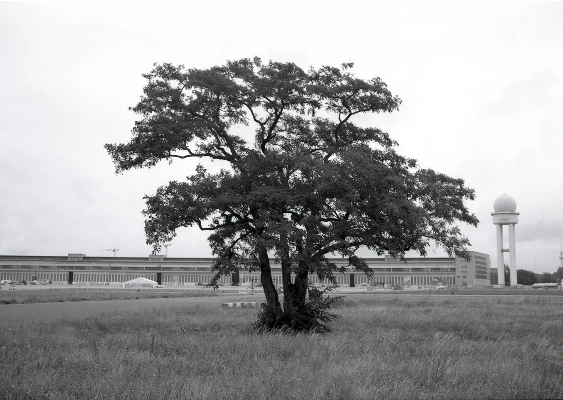 She Was the First to Understand (Tempelhof), 110/150cm, 2011
