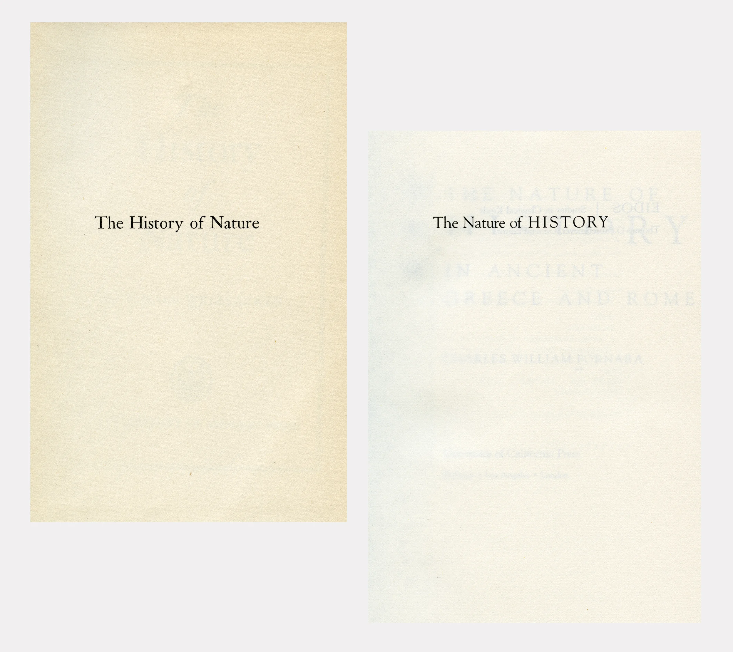 Vice-Versa, 97/95cm (Diptych), 2008