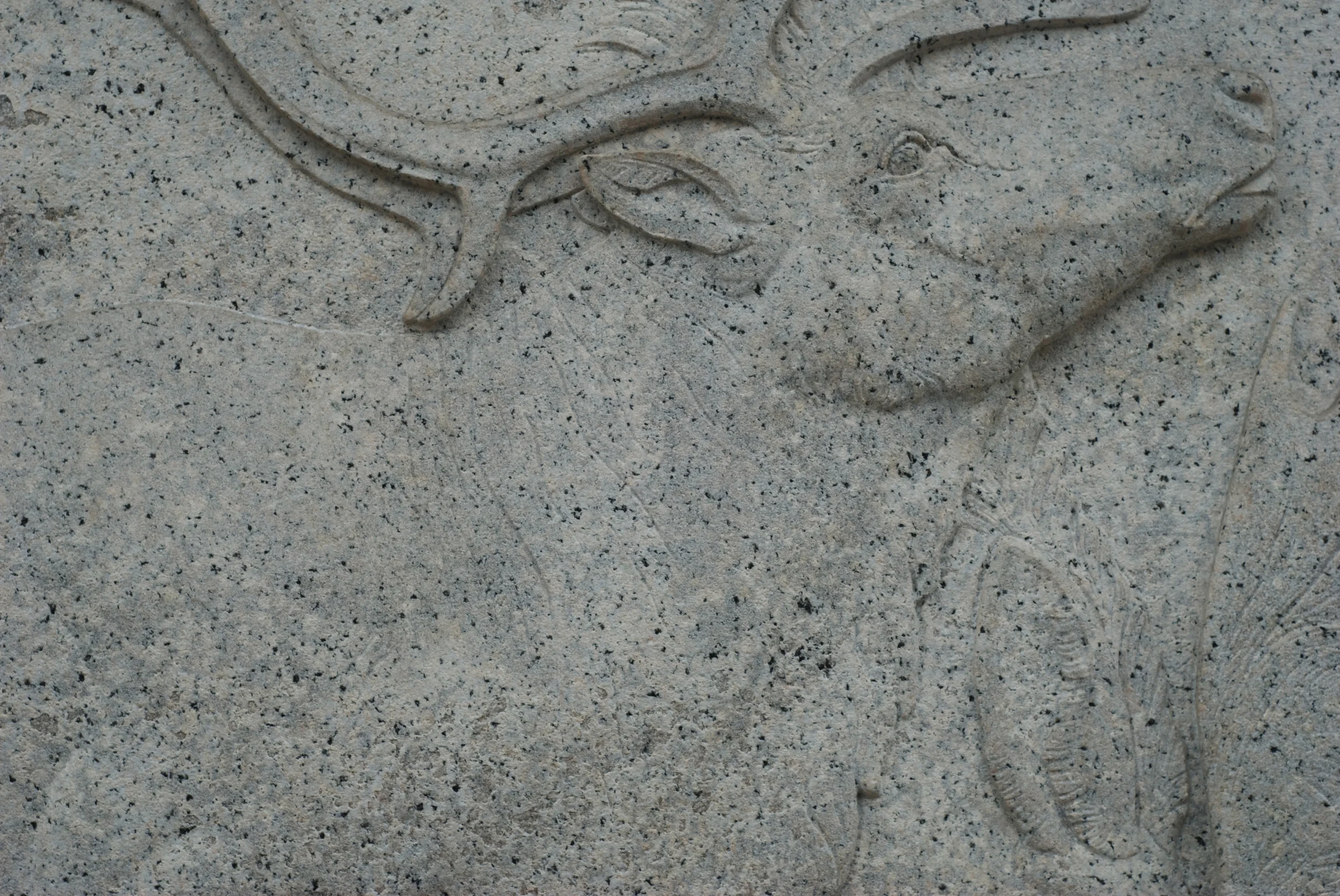 Dear, 70/90cm, 2008
