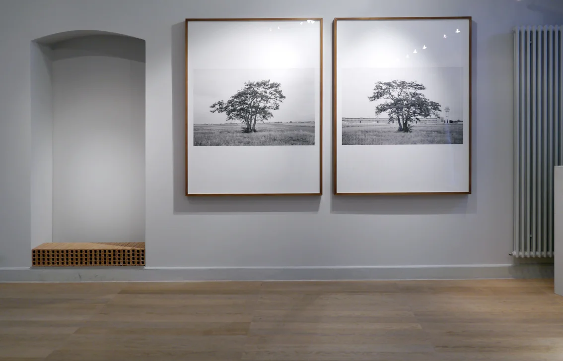 Installation View, Gowen Contemporary, 2013