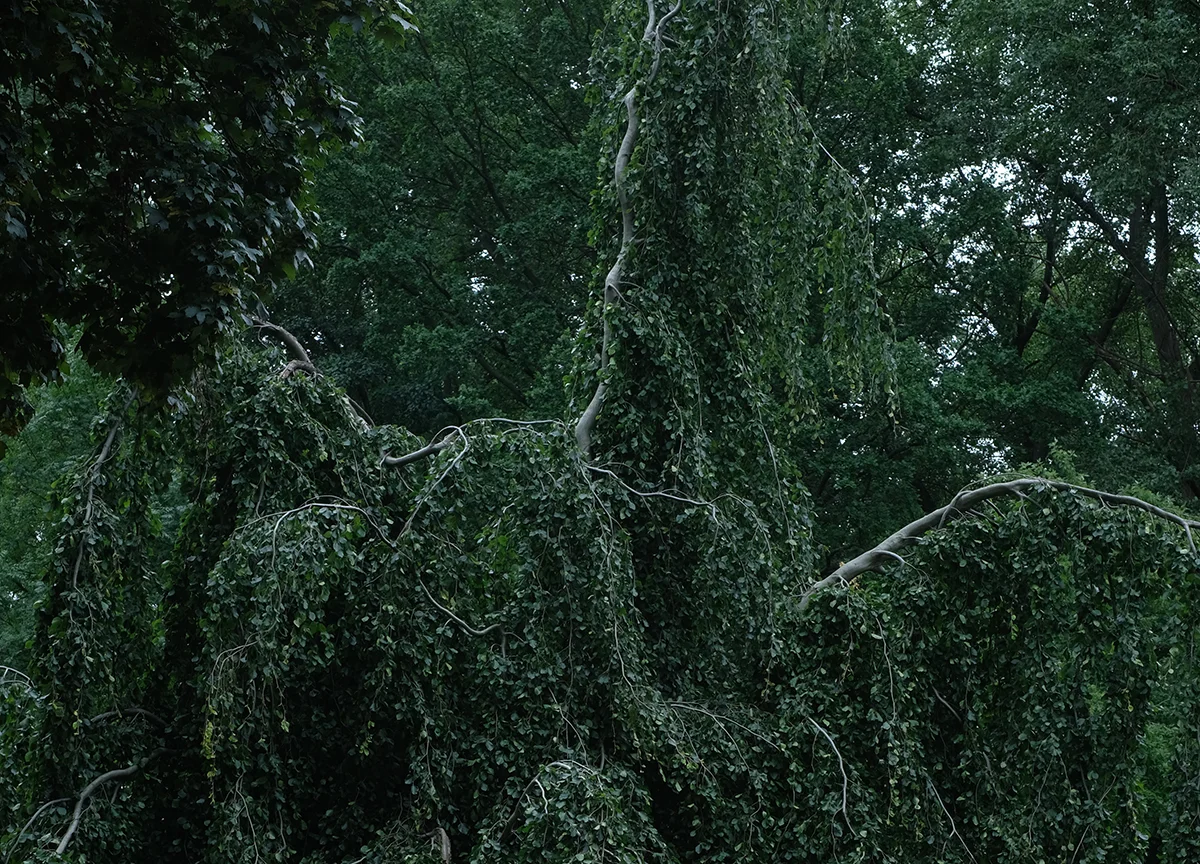 DSCF3942.jpg