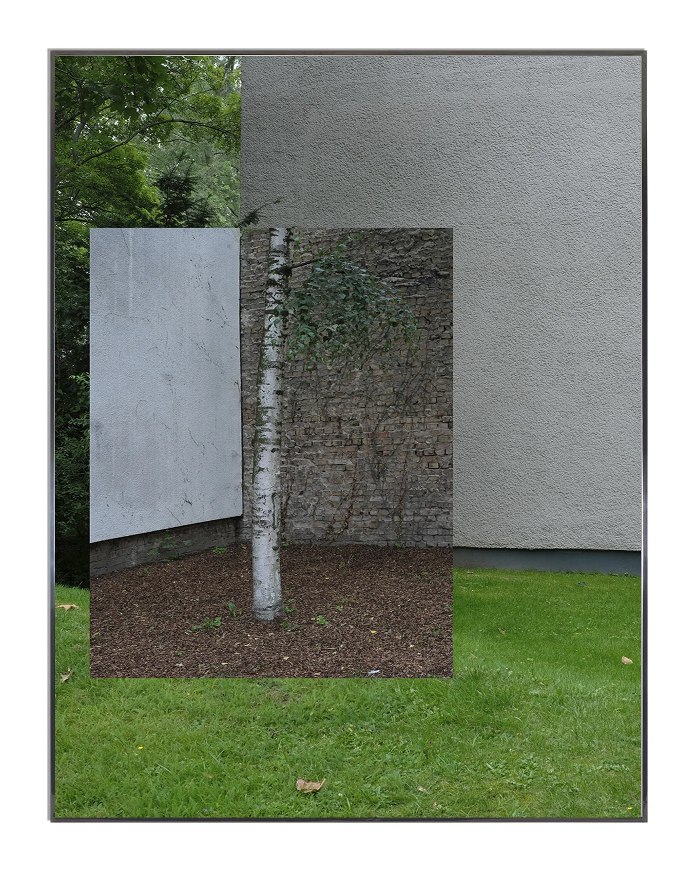 Parks & Recreations #5