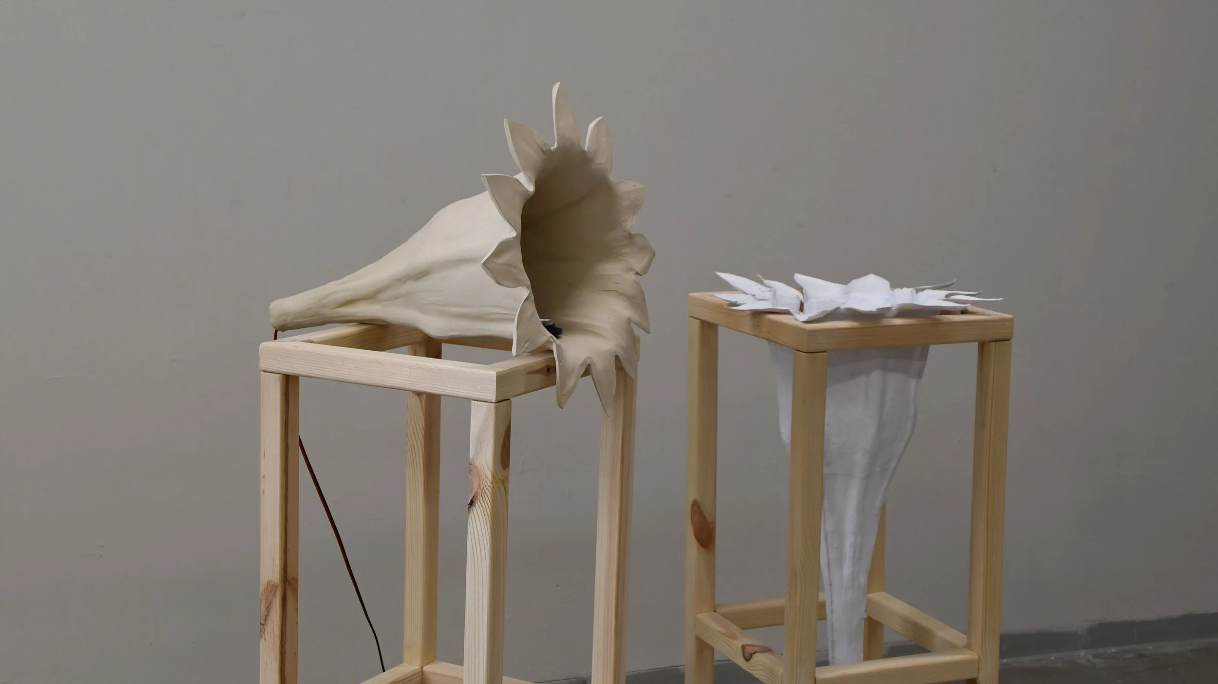 Faint Vibration of the Petals, Netaly Eilon & Yfeat Ziv, Ehad Ha'am 9 gallery