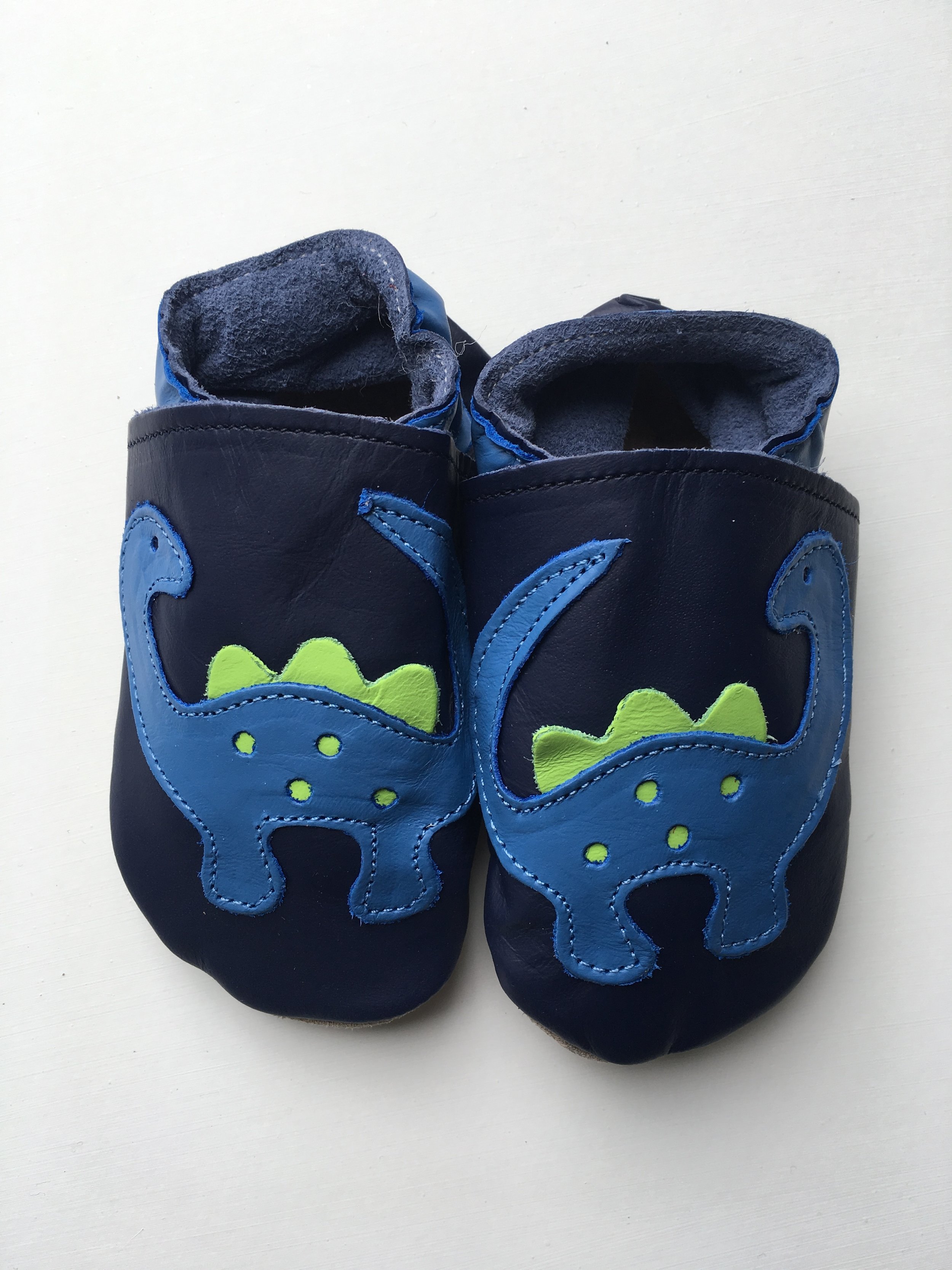 Dinosaur Leather Shoes