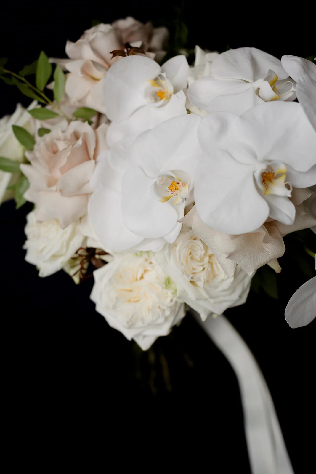 Gabby & Brian-62.jpg