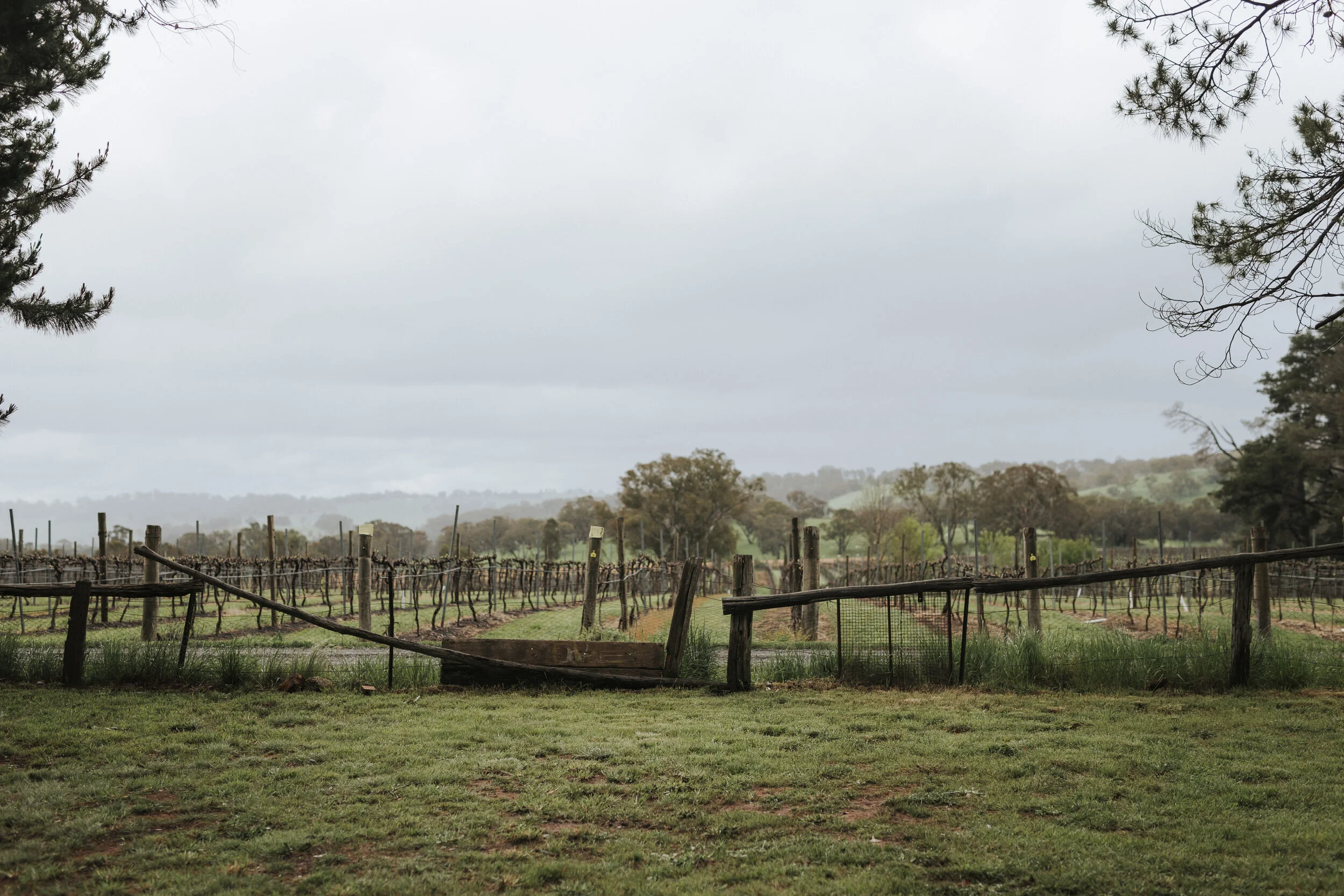 Rachael & Kyle_wedding photos_print quality_-232.jpg