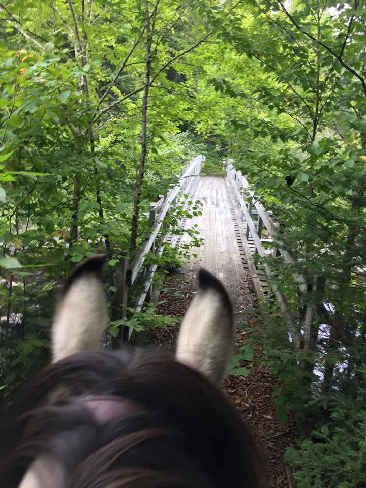 Pearl's Ears Bridge.jpg