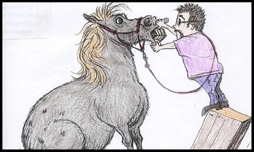 Corey Equine Dental 86 Sam Webb Rd. Fairfax, VT 05454 p: (802) 849-2963 e: coreyexc@gmail.com