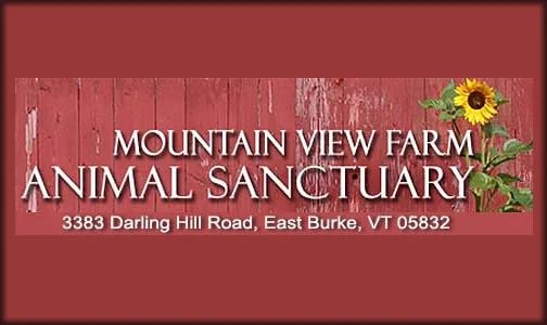 Mountain View Farm Animal Sanctuary PO Box 38 East Burke, VT 05832 p: (802) 745-9508 w: www.mvfas.org e: mtviewanimalsanctuary@gmail.com