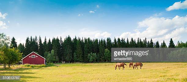 Photo by wmaster890/iStock / Getty Images