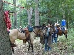 groton forest multi use trail work.jpg