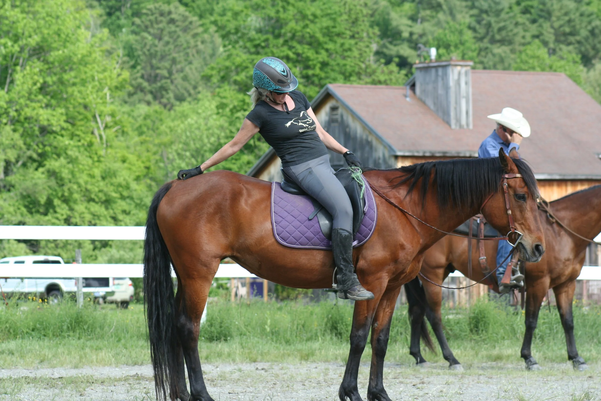 Vermont Horse Council