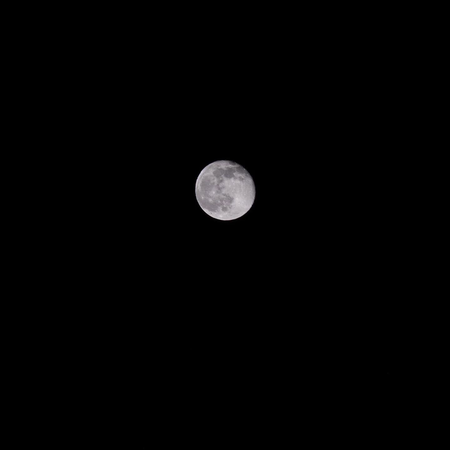Eile arvuti ekraani kumale konkurendiks hakkas vasakusse silma paistma Kuu / Yesterday, to oppose the bright screen of my laptop, there was the Moon
 
#fujifilm #jupiter200mm #mooninallitsmight