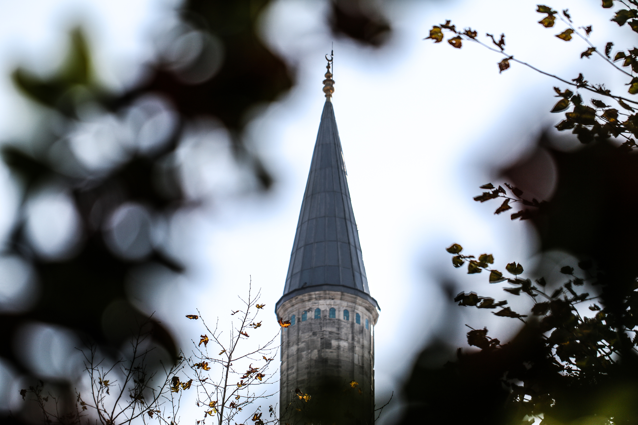 Towering