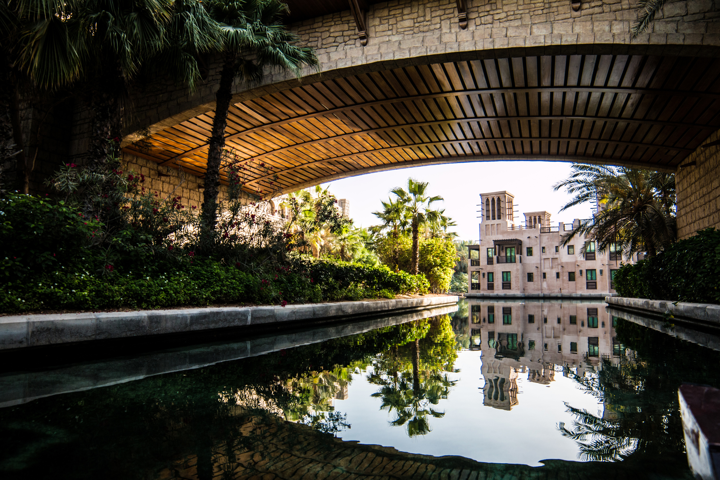 Morning Reflections