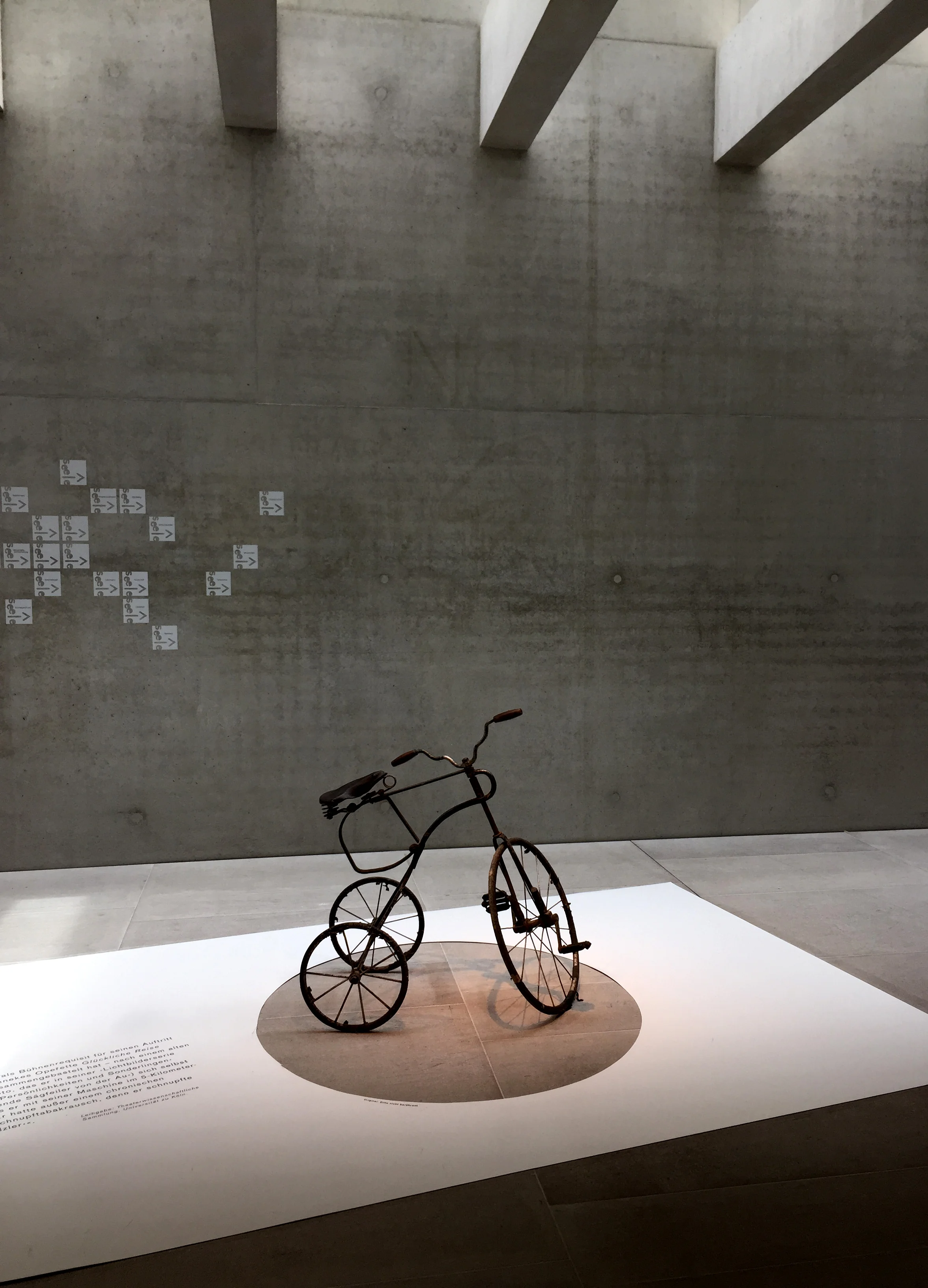 Circulation hall used also as temporary exhibition space